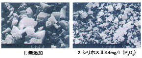 1.Y2.VzXII3.4mg/liP2O5j
